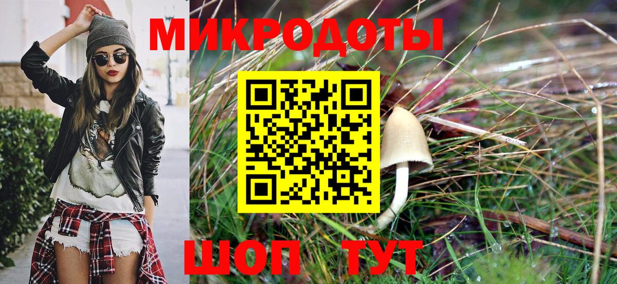 Псилоцибиновые грибы Psilocybe  Вход с VPN  Ялуторовск 