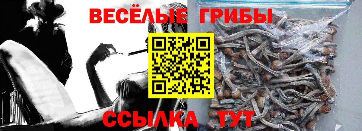 Галлюциногенные грибы GOLDEN TEACHER Ялуторовск